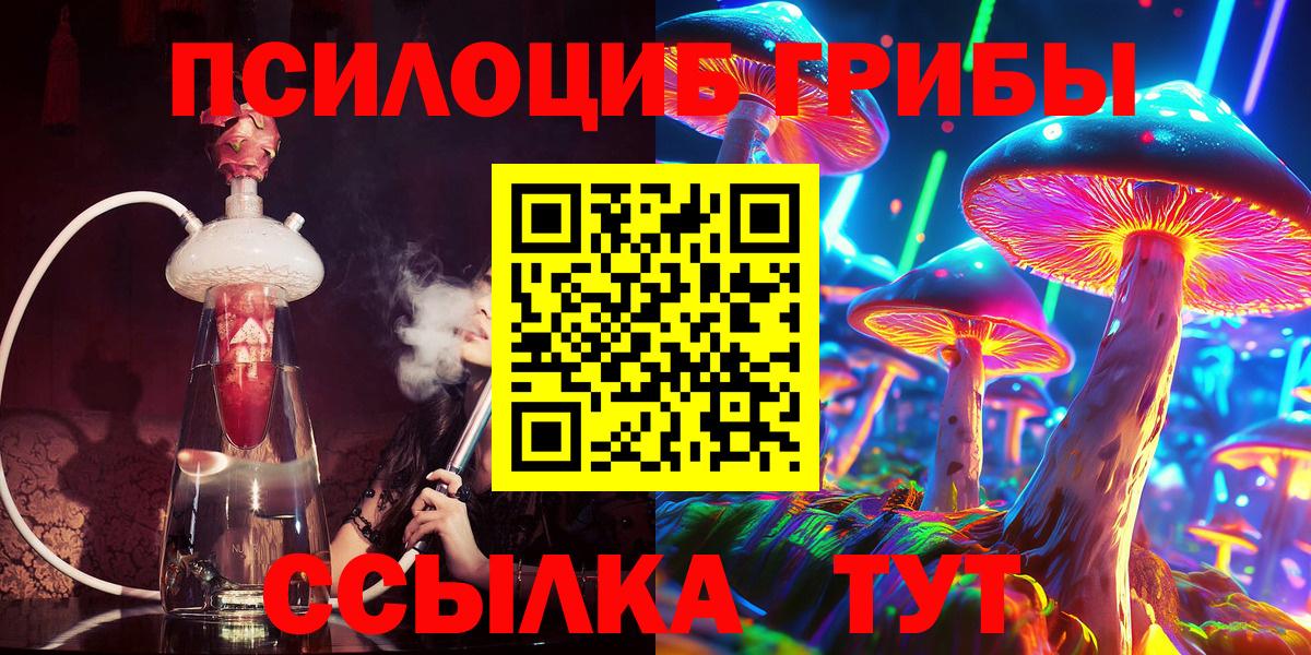 Псилоцибиновые грибы Psilocybe Коркино